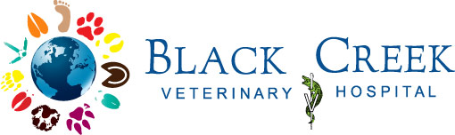 Black Creek Veterinary Hospital