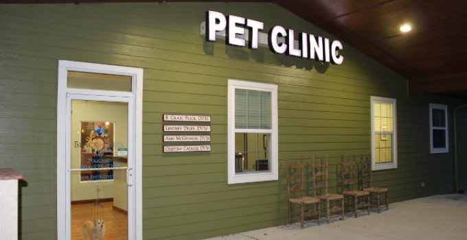 Black Creek Veterinary Hospital